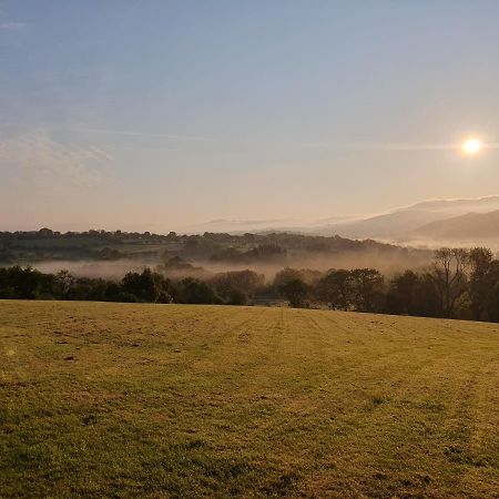 Ty Twt Villa Lampeter Dış mekan fotoğraf